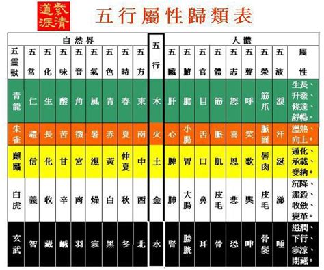 5行屬性|五行是什麼 